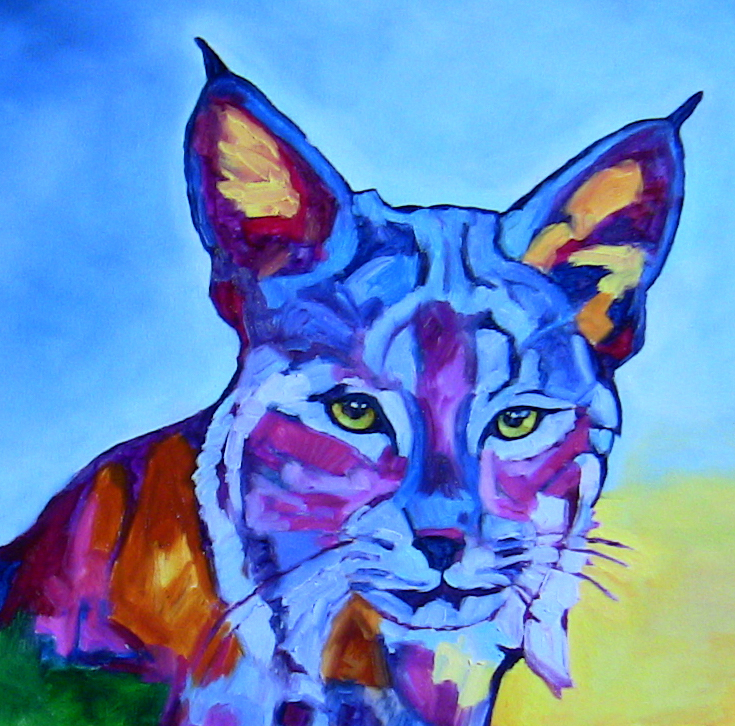 Now at the Gallery - The Beauty of the Bobcat!
