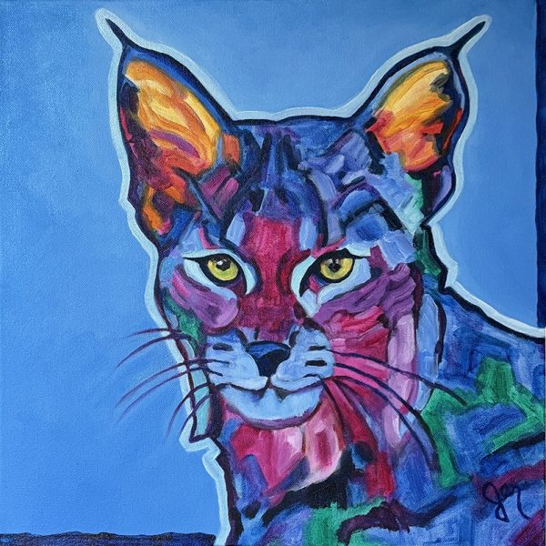Sweet Expectations - Bobcat